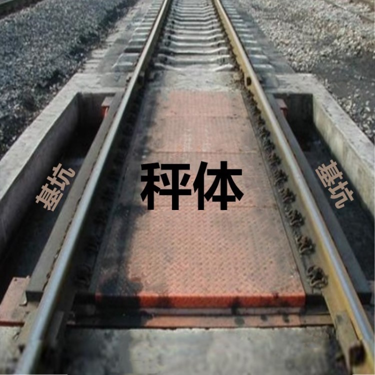 出廠價(jià)供應(yīng)  堅(jiān)固耐用 數(shù)字顯示 動靜態(tài)計(jì)量  電子軌道衡 輕軌衡