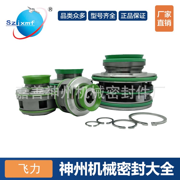 機械密封件飛力泵XGFS-20-25-35-45-60-90合金污水泵