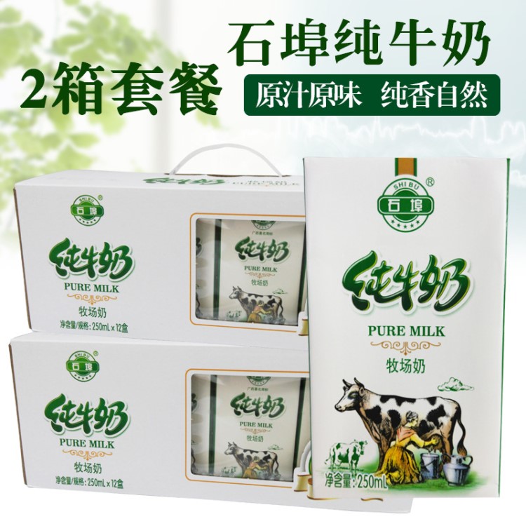 石埠 牛奶250mlX12盒X2箱 廣西兒童學(xué)生營(yíng)養(yǎng)牛奶成人健康早餐奶