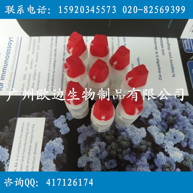 肌紅蛋白單克隆抗體（Myoglobin mAb）肌紅蛋白抗原抗體原料