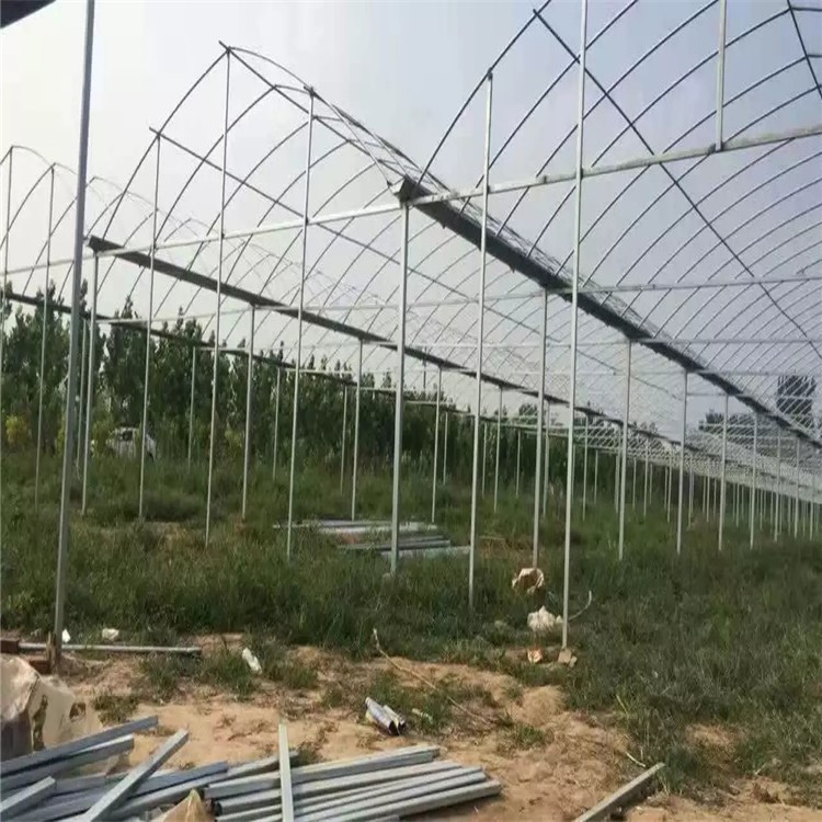 無錫大棚廠家批發(fā)單體溫室骨架蔬菜棚育苗溫室大棚 種植花草大棚