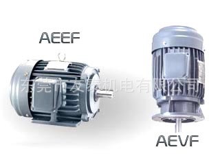 東元AEEF/AEVF低壓三相感應(yīng)電動機(jī) 東元電機(jī)