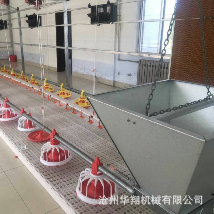 自動化喂料養鴨設備 養殖場養雞全套料線水線 肉雞自動喂料機