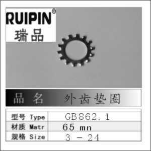 廠家：生產(chǎn)外齒墊圈GB862.1-861.2墊圈擋圈 65錳304不銹鋼