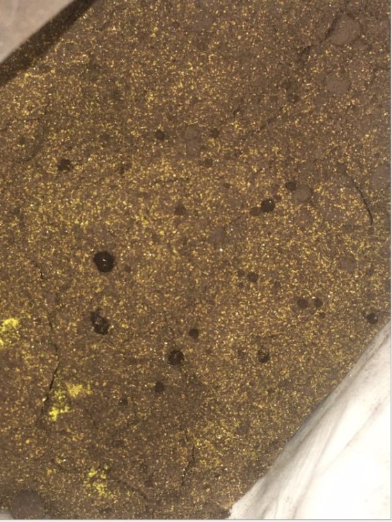 厂家鱼药原料底栖硅藻藻种原料肥水定向培藻有益藻种低温培藻