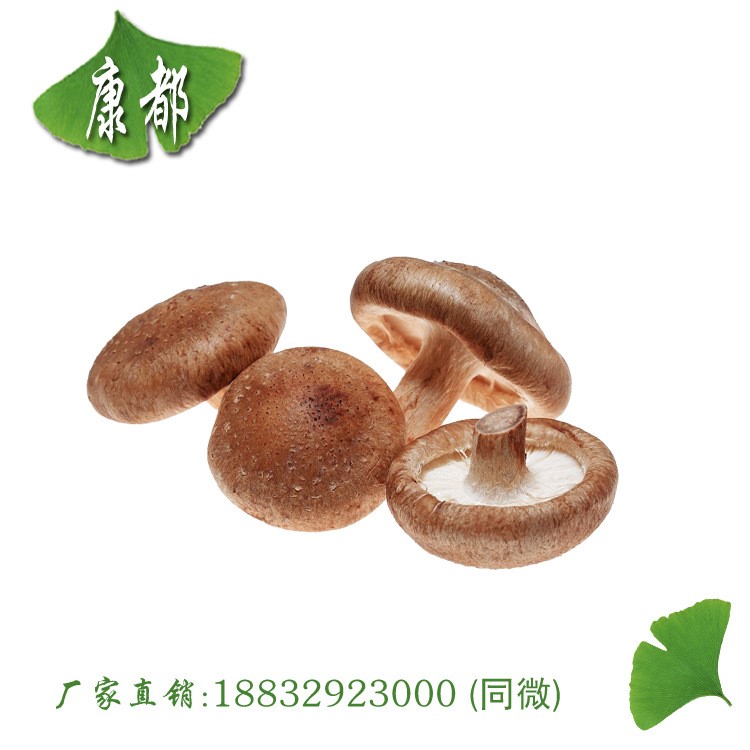 香菇提取物50% 香菇多糖 質(zhì)量 量大從優(yōu) 歡迎采購(gòu)