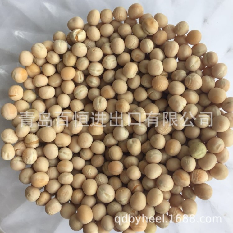過篩加拿大2號(hào)白豌豆 鴿糧 飼料 可做豌豆淀粉 廠家批發(fā)