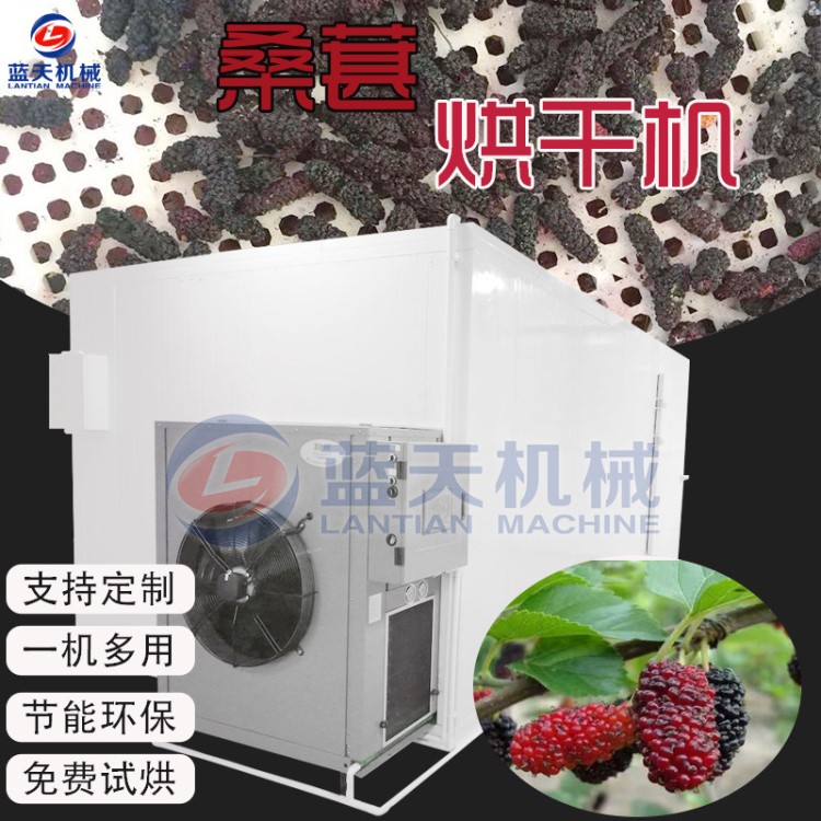 箱式熱泵桑葚烘干機(jī) 小型桑葚干干燥機(jī) 桑果桑葚子高溫烘干設(shè)備