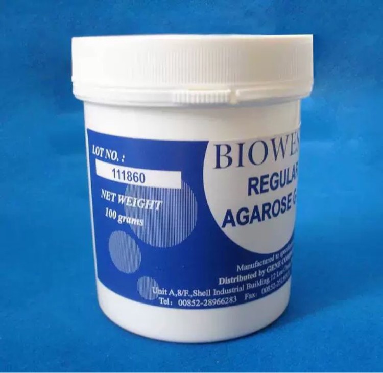 西班牙瓊脂糖100gBiobest111860原裝