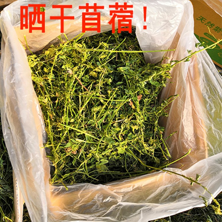 2019年苜蓿草 羊駝小鹿小奶牛 精選飼料寵物飼料