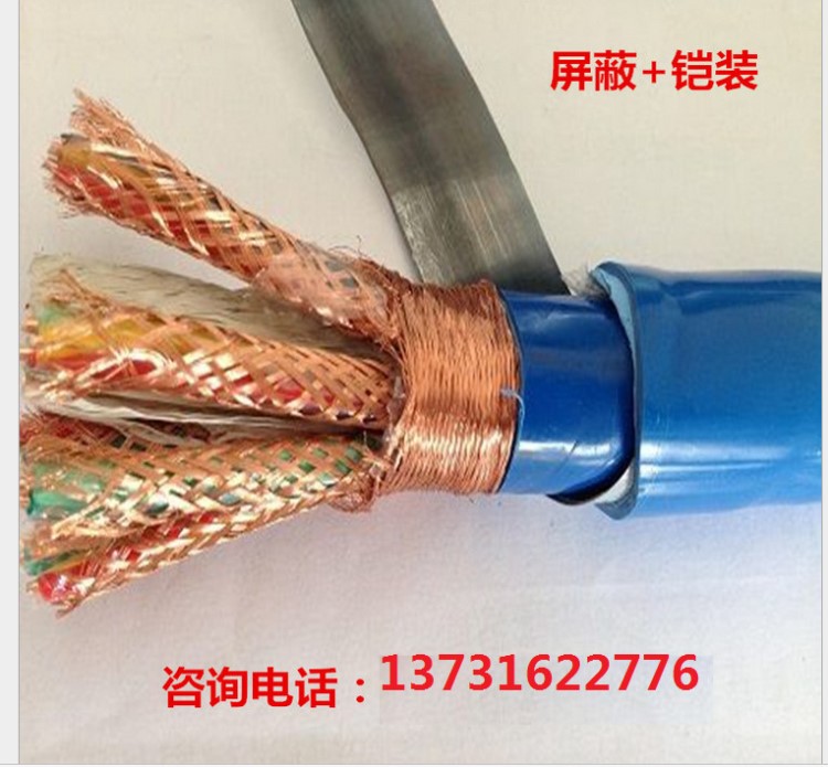 鎧裝電子計算機電纜ZR-DJYVP22 DJYPVP22 DJYPV22銅絲屏蔽電纜