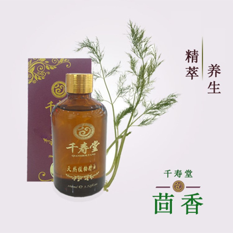 單方精油10ML茴香羅勒肉桂身體按摩藥油養(yǎng)生精華保健護(hù)理廠家OEM