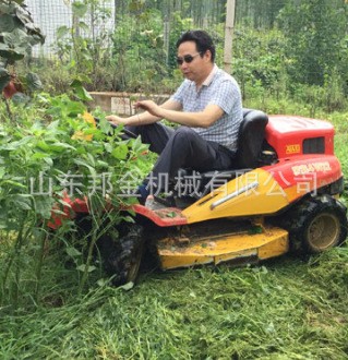 田间管理机械 园林机械草坪车 草坪车厂家 西安草坪机 割草机