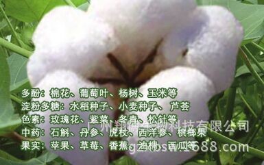 RN37-EASYspin大量植物RNA快速提取試劑盒