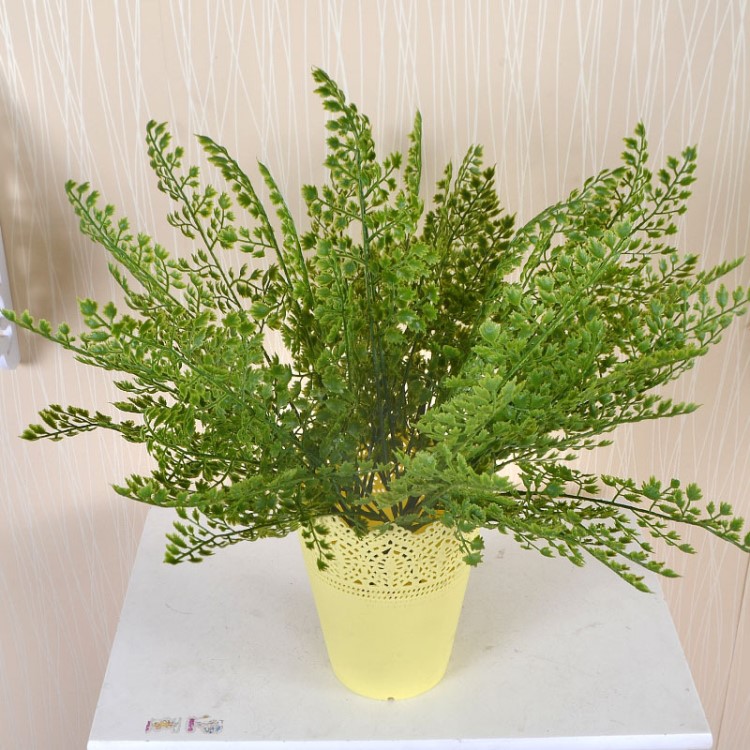 圓葉草 銀葉菊 波斯草 鹿角葉 仿真綠植 盆栽 綠植墻 廠家直銷