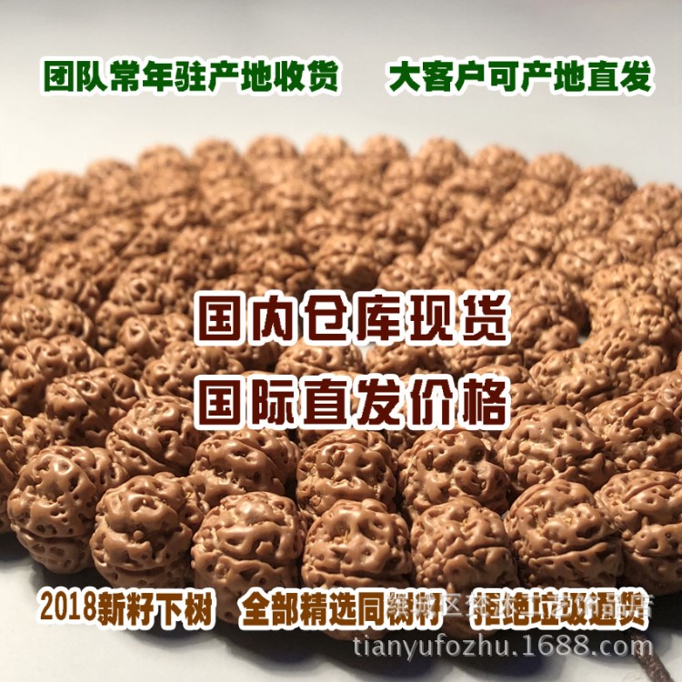 金刚菩提五六瓣精选原籽爆肉蛤蟆盘龙纹小金刚菩提子108颗批发