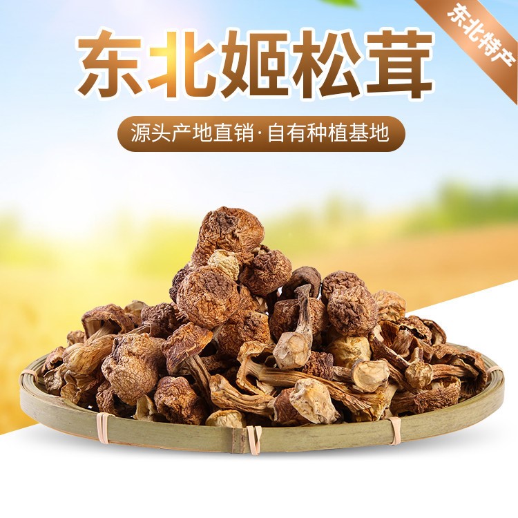 東寧潤?quán)l(xiāng)干貨特產(chǎn)食用菌散貨大量批發(fā)姬松茸巴西菇姬松茸500g