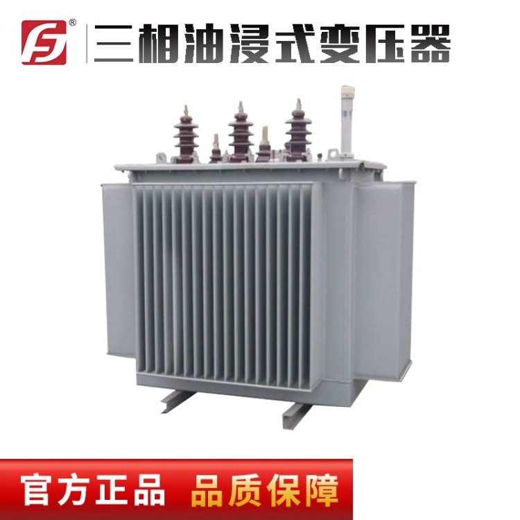 銅芯 S13-100KVA 10KV 三相油浸式電力變壓器 國標產品 入網合格