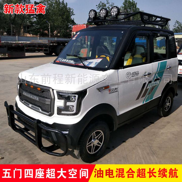 成人四輪電動汽車 全封閉式節能電瓶車 家用老年代步車批發包郵