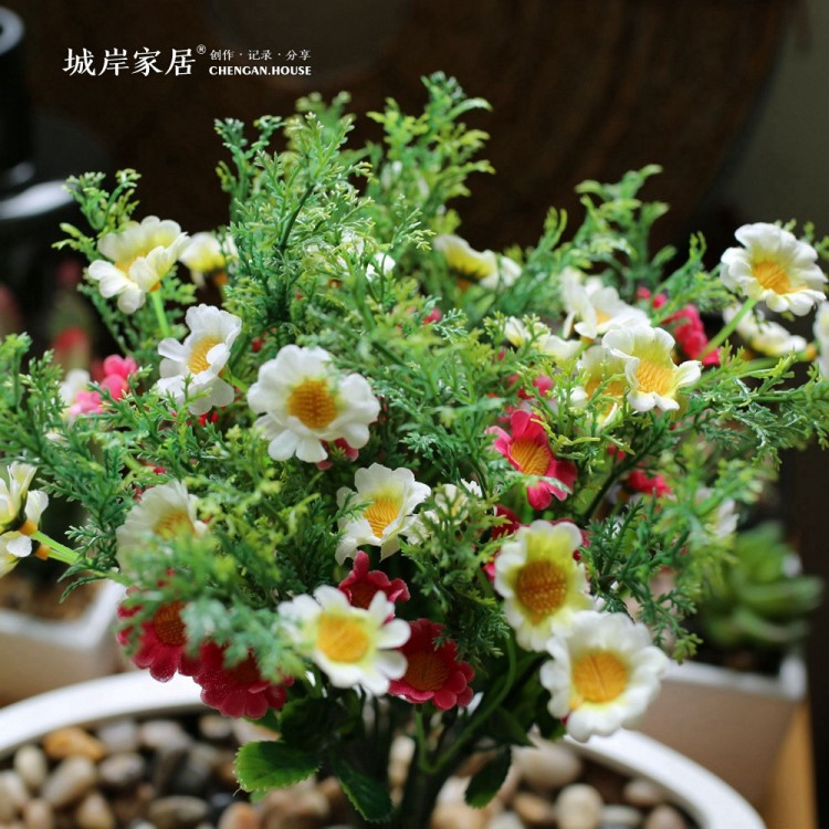 小草菊 仿真花批發(fā) 絹花 假花 歐式裝飾 美式田園風(fēng)格