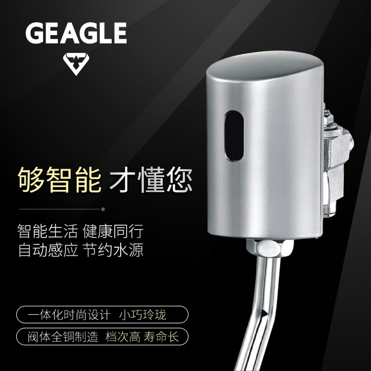 [龍頭廠家]展鷹 智能 感應 明裝沖水器 后進水掛墻沖水閥ZY-108