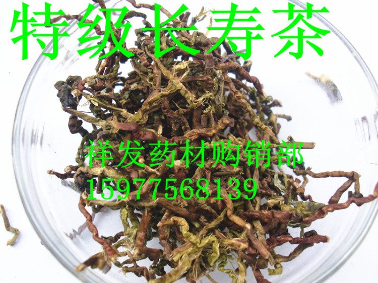 云南長壽草 山蜜草 天下 草 云南長壽草根茶 有錄音