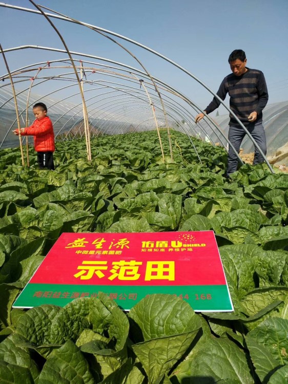 生物菌肥益生源中微量元素微生物菌劑腐植酸蔬菜類專用廠家直供