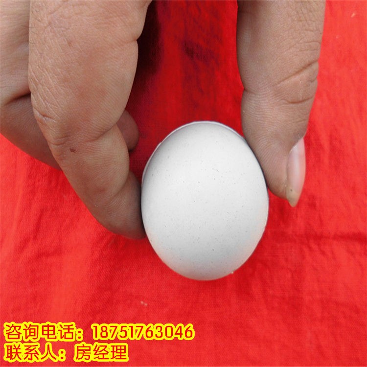 廠家直銷 振動(dòng)篩網(wǎng)清堵網(wǎng)球 彈力球 白色實(shí)心球 &phi;25mnm 高彈球