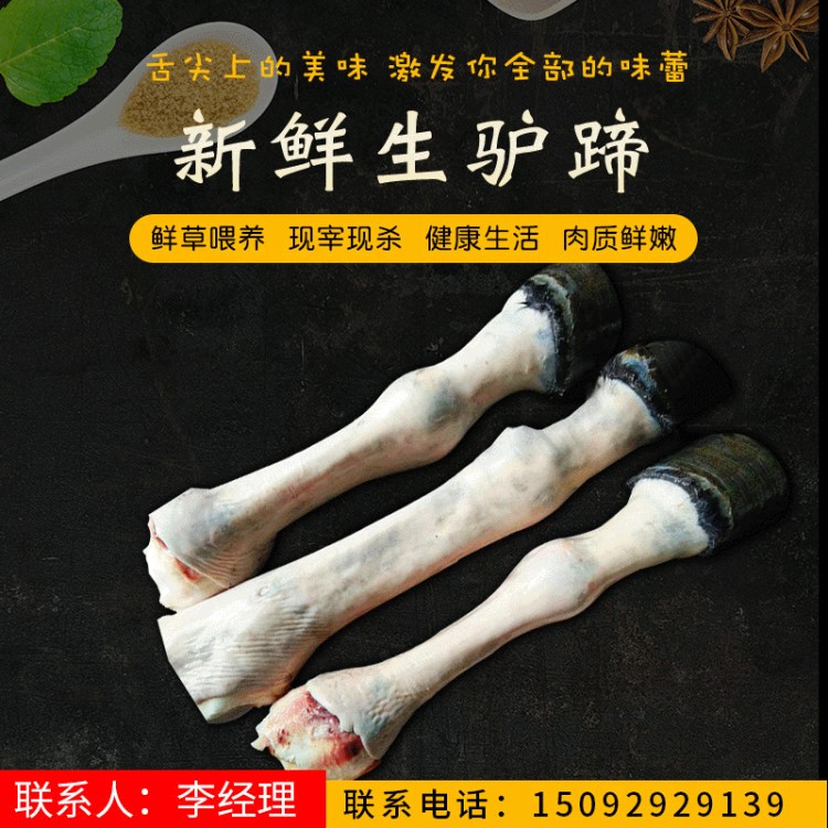 廠家供應(yīng)經(jīng)營鮮活冷凍驢蹄 活驢現(xiàn)殺鹵驢蹄原材驢副食品批發(fā)