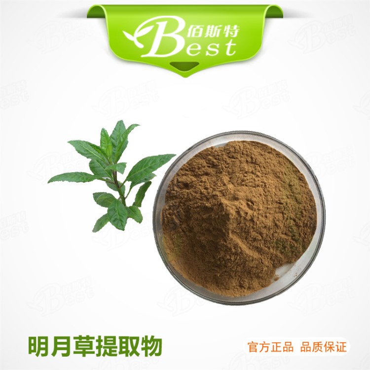 明月草提取物10：1 雞毛菜提取物 富貴菜白子菜  源廠品質 包郵