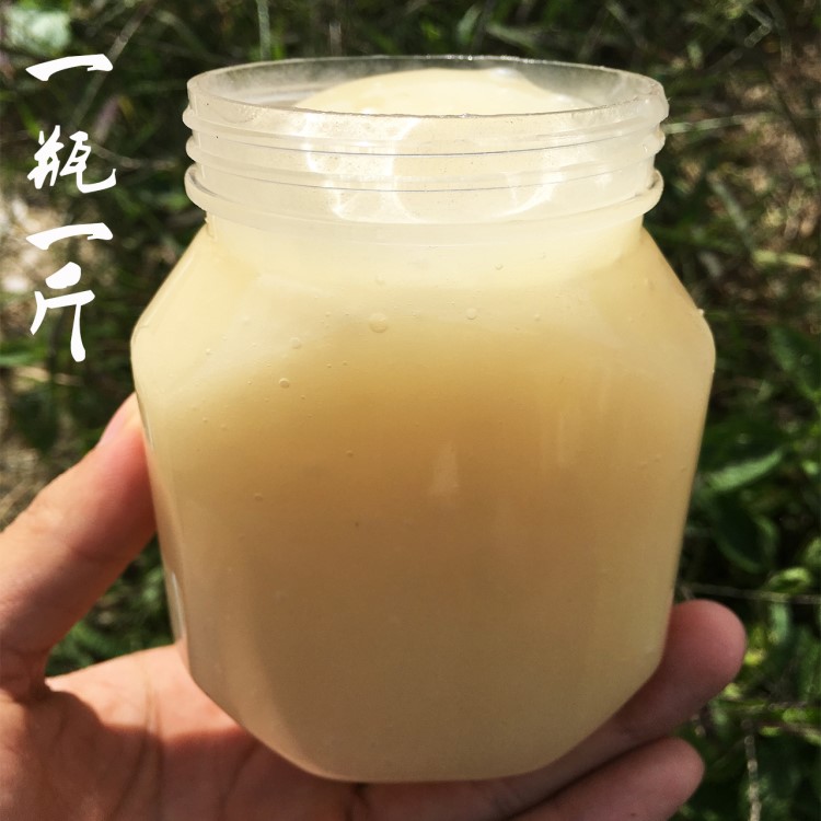 福建古田農(nóng)家自產(chǎn)土蜂蜜冬蜜原蜜天然蜂蜜結(jié)晶蜜500g