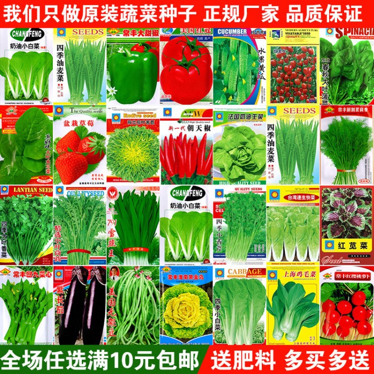 蔬菜種子四季播陽(yáng)臺(tái)農(nóng)家田園易種菜庭院春夏秋套餐盆栽香菜籽包郵