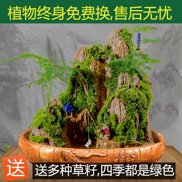 天然石假山室内摆件上水奇石鱼缸流水植物原石头吸水盆景168集合