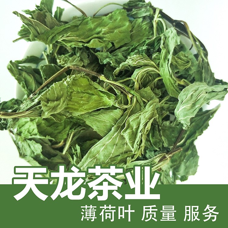 天龙茶业花草茶清凉茶/批发/花茶/薄荷叶/干薄荷粒/散装量大从优