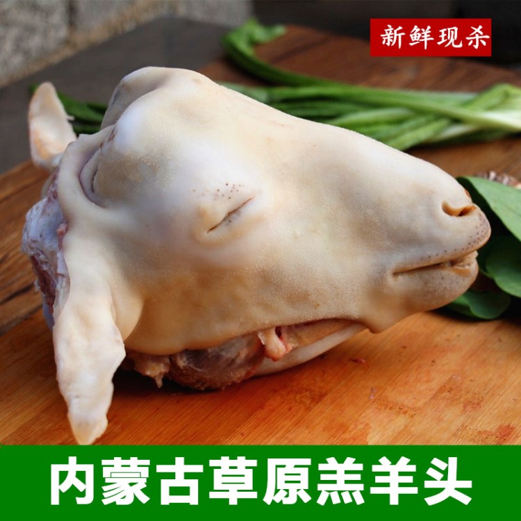 批發(fā)內(nèi)蒙古新鮮冷凍羊頭肉 羊眼下水羊腦 帶皮羊頭羊臉