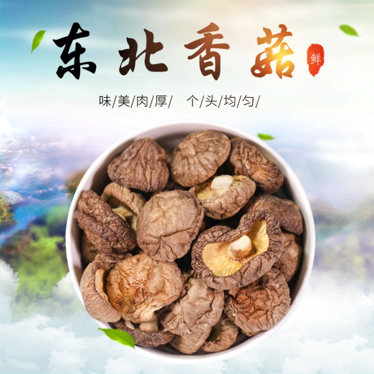 南北干貨特產(chǎn)香菇干根短肉厚產(chǎn)地直批干香菇厚菇冬菇160克袋裝