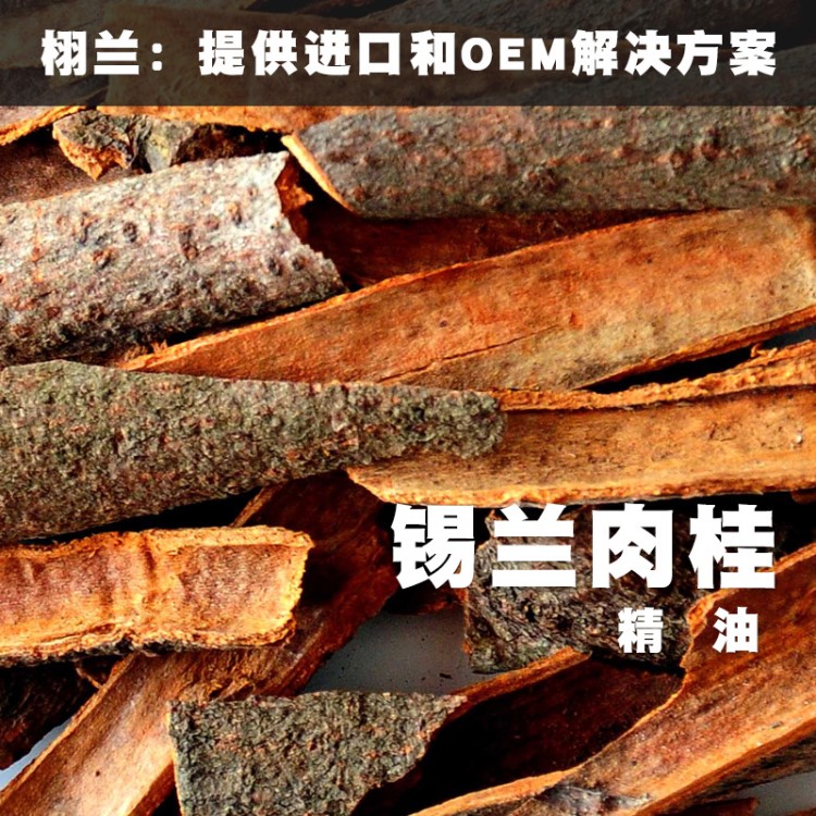 新到貨 栩蘭 錫蘭肉桂精油 Cinnamomum zeylanicum馬達加斯加