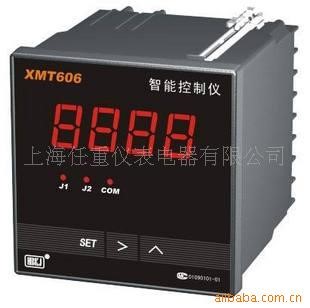 供應XMT606 智能儀表