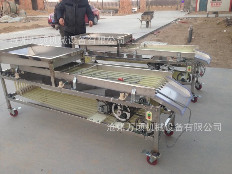 樂陵小棗分級機木棗挑果機壺棗選果機