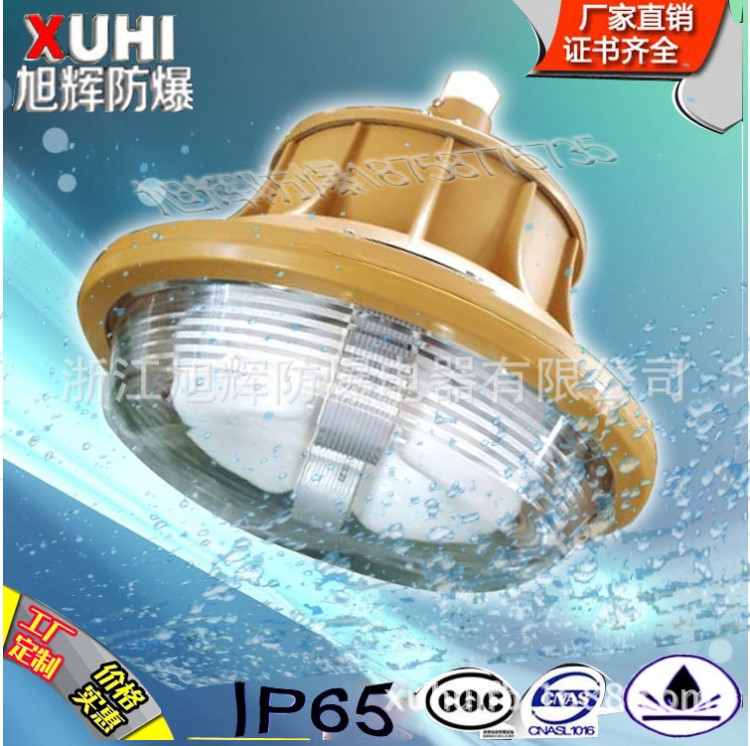 浙江SBF6102免維護(hù)節(jié)能防水防塵防腐燈40W50W森本三防無極燈直銷