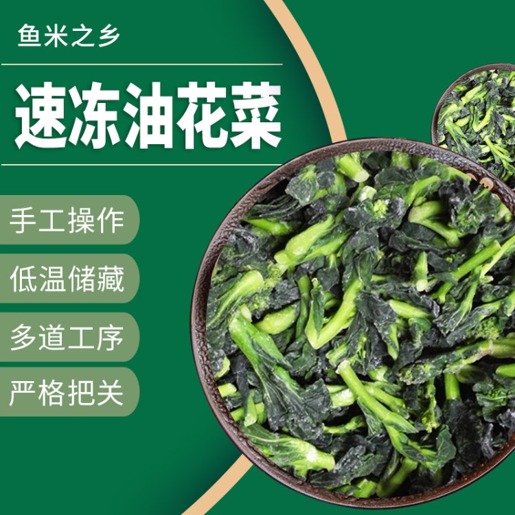 【批發(fā) 非零售】速凍油菜花