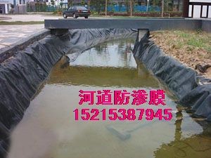 景观湖底部防渗膜_永立土工膜价格