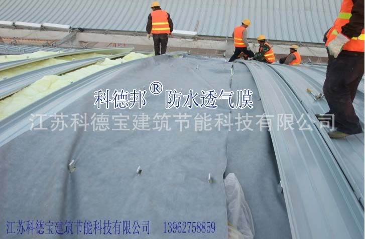 0.49MM紡粘聚乙烯和聚丙烯膜