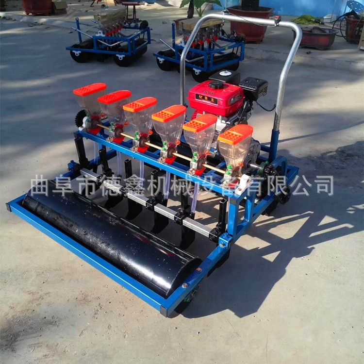 汽油手推小型菜園蔬菜播種機(jī) 出苗規(guī)律油菜紅蘿卜6行播種機(jī)廠家