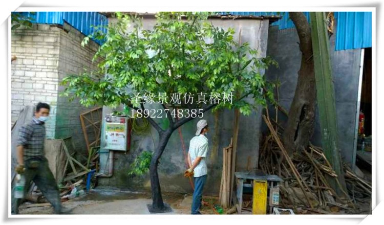 仿真榕树大型树 假树瀑布溶洞古树大门户外客厅实木树干装饰摆件