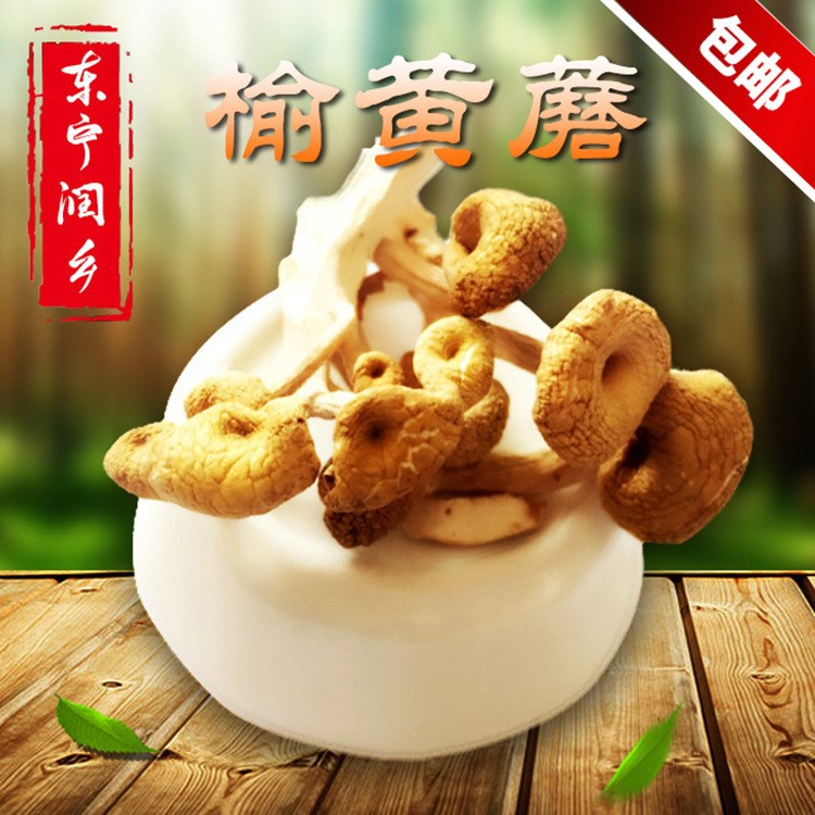 東寧潤?quán)l(xiāng)干貨特產(chǎn)東北食用菌散貨榆黃蘑蘑菇榛蘑500克廠家