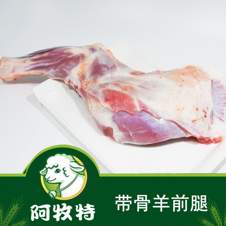 阿牧特羊腿 內蒙草原羔羊腿 帶骨羊前腿 戶外燒烤羊腿 產地貨源