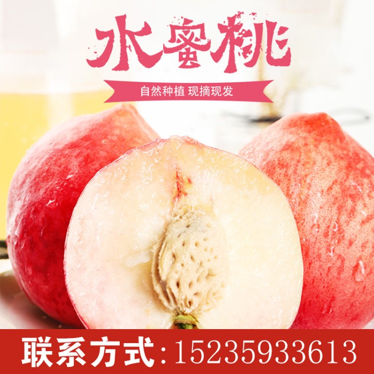 產地直發應季水果毛桃 新鮮水蜜桃甜美多汁現摘現發包郵
