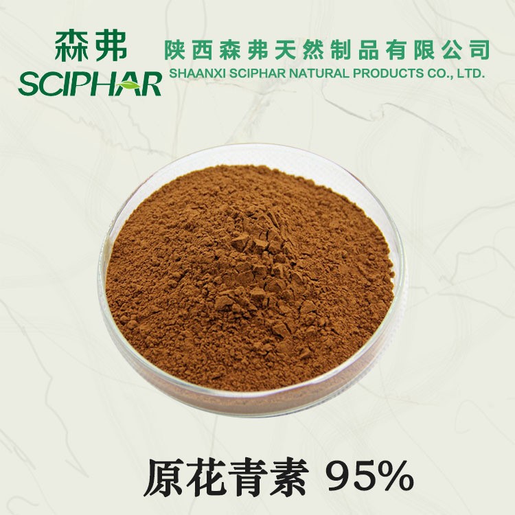 葡萄籽原花青素95%森弗原料粉現貨供應葡萄籽提取物