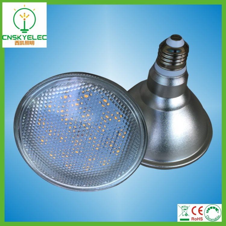 調(diào)光 LEDPAR30 E27 帕燈 10W防水PI65出口歐美日韓外貿(mào)出口品質(zhì)